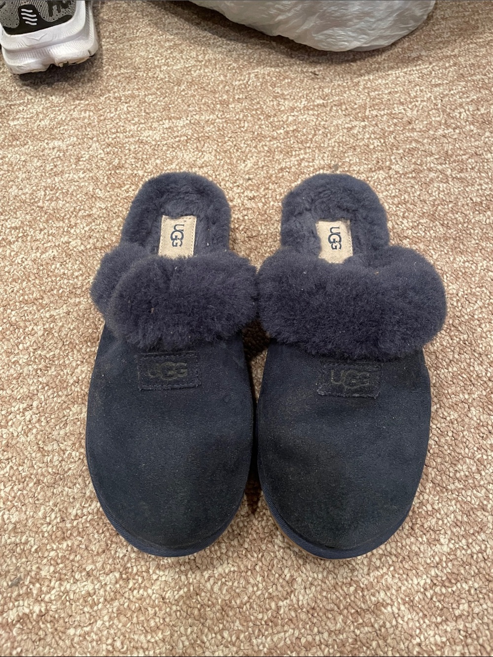 UGG Dark Navy Suede Shearling Slip-On Clog